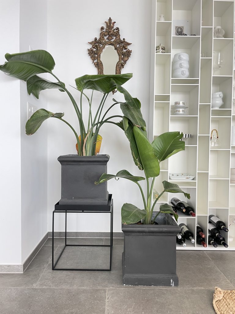 Most Versatile Furniture Pieces to Own 4 Hay Tray Tables as plant stands